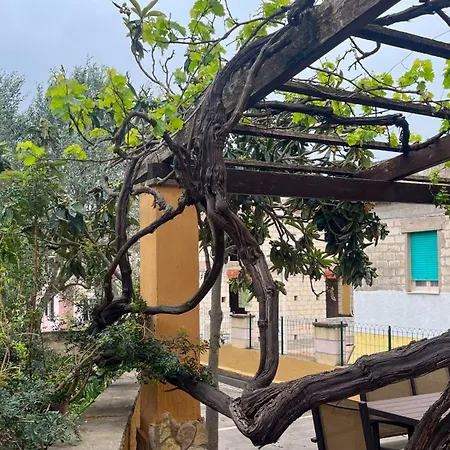 Caterina- Oasis Of Tranquillity