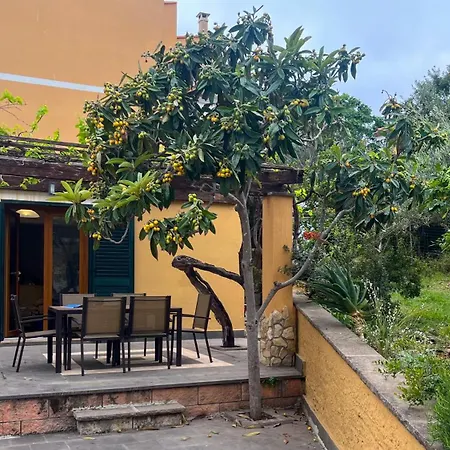 Caterina- Oasis Of Tranquillity *